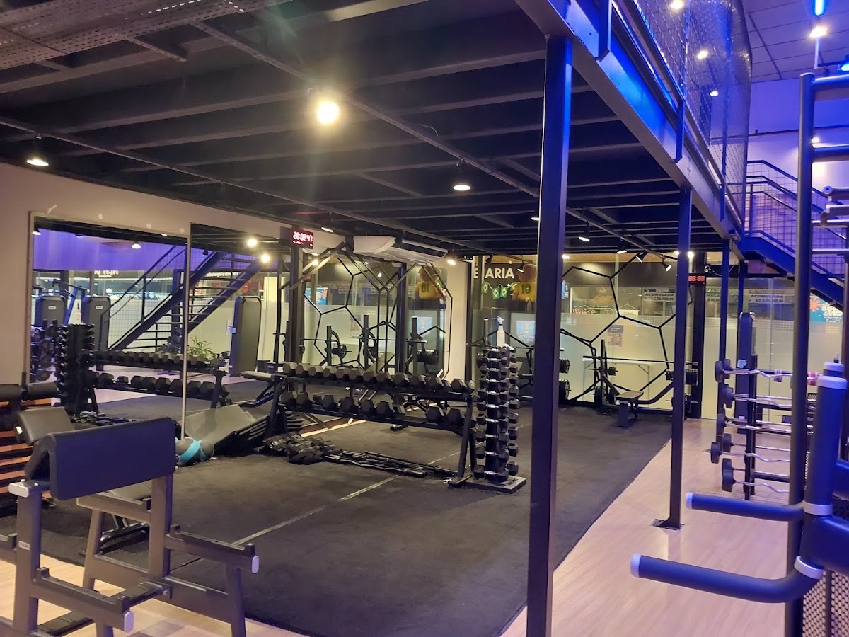 A Fitness 24h Coqueiros em Florianópolis — foto 2