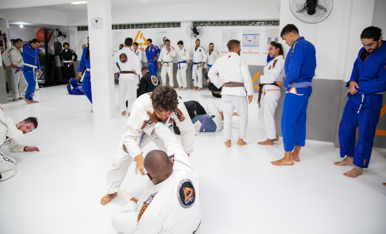 Academia de Jiu-Jitsu Rilion Gracie Floripa - Cachoeira do Bom Jesus, Florianópolis, SC em Florianópolis — foto 2