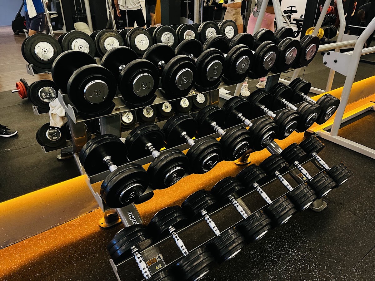 Academia ONIX em Florianópolis — foto 3