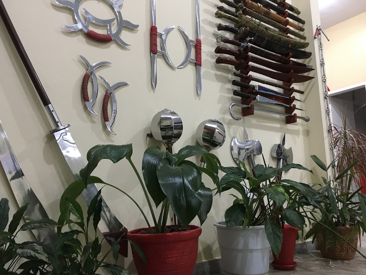Academia Sino-Brasileira de Kungfu em Florianópolis — foto 4