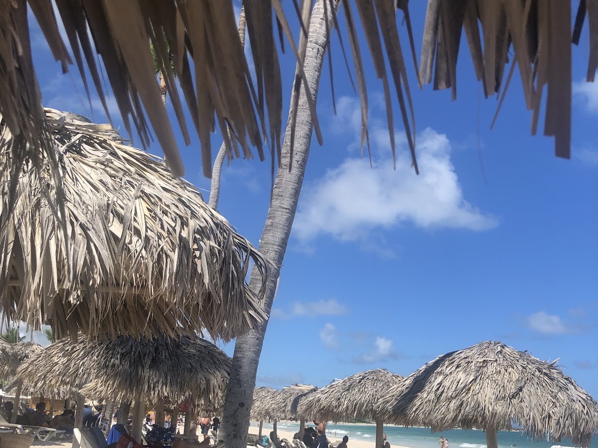 Agencia de viagens e turismo - Bittencourt Espíndola Viagens em Florianópolis — foto 4