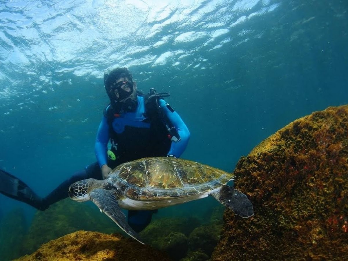 Foto da Água Viva Mergulho - Padi 5 Star IDC Dive Resort