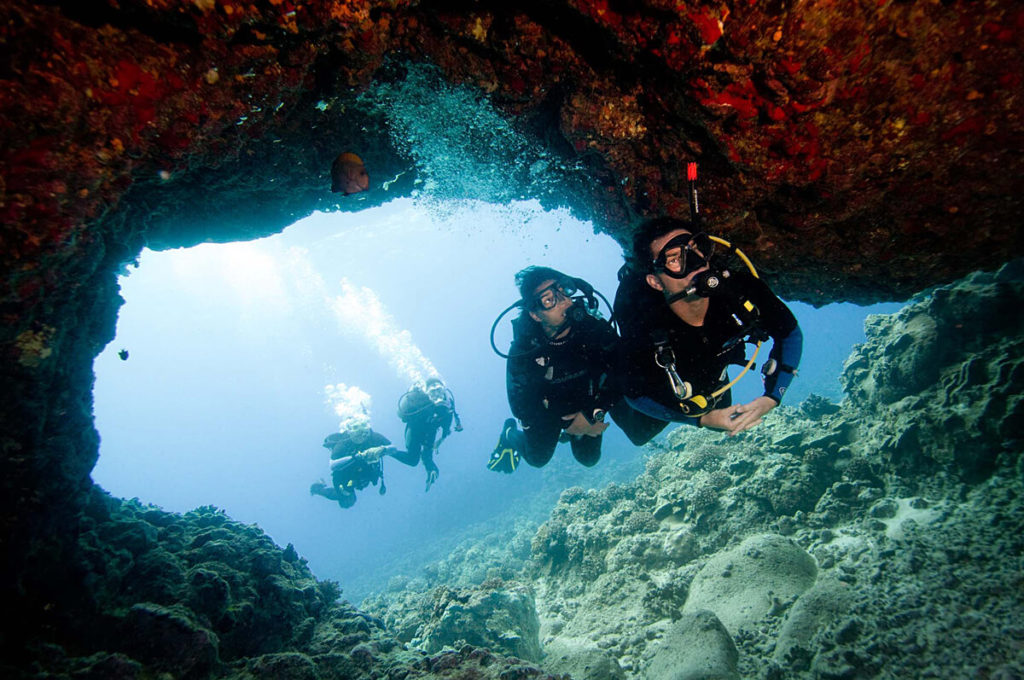 Água Viva Mergulho - Padi 5 Star IDC Dive Resort em Florianópolis — foto 1