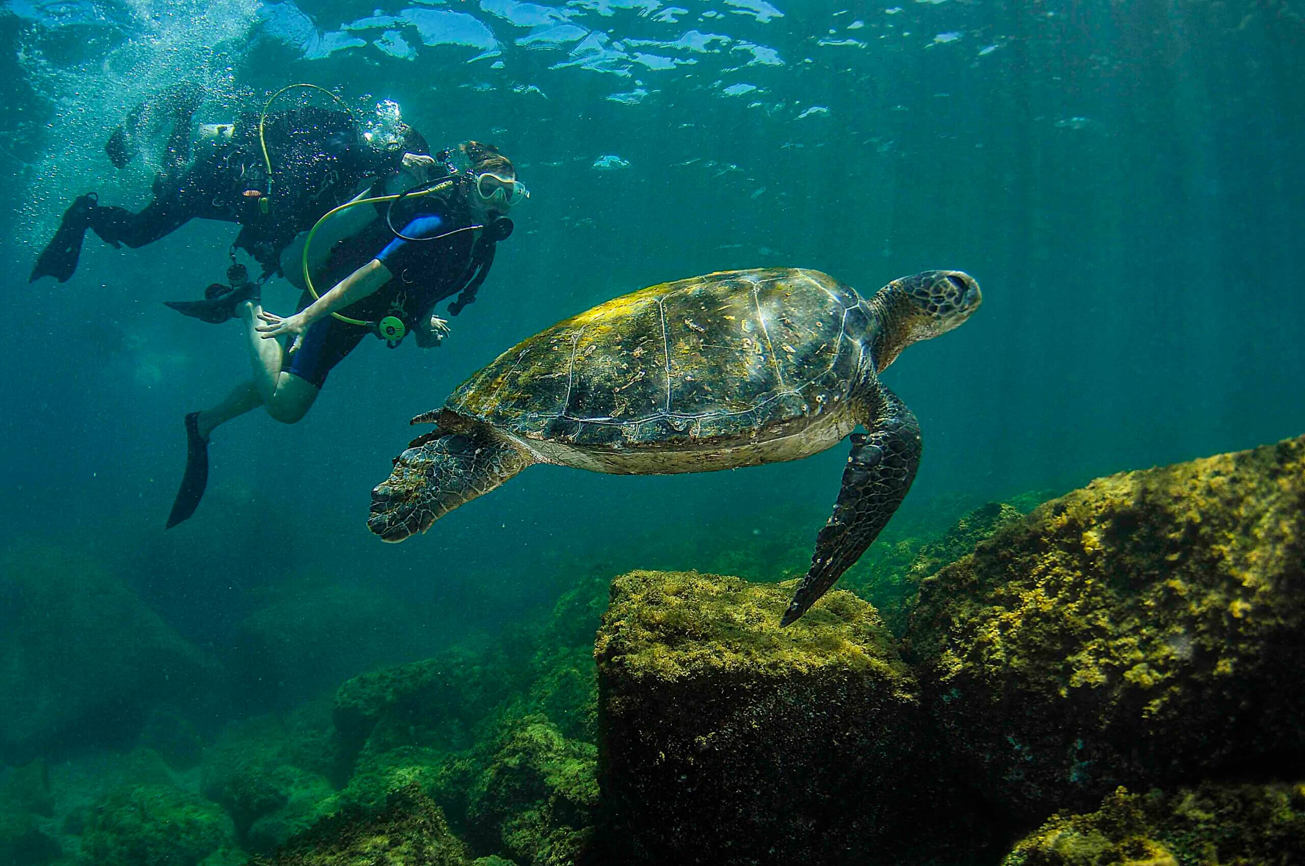 Água Viva Mergulho - Padi 5 Star IDC Dive Resort em Florianópolis — foto 3