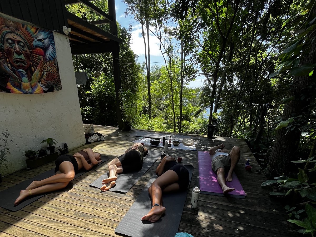 Logo Alma Raiz - Yoga, Experiências de Bem-Estar & Alimentos Artesanais