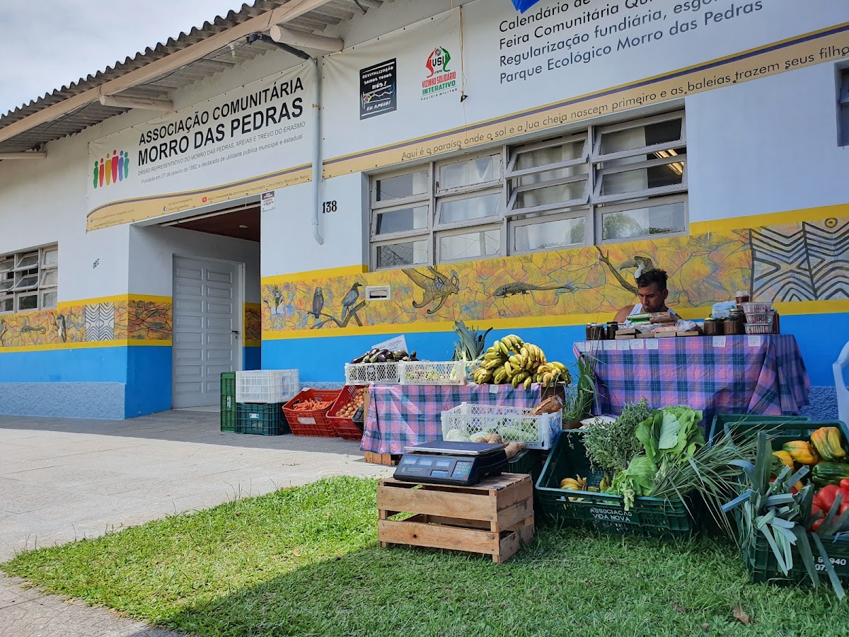Logo Associação Comunitária Morro das Pedras