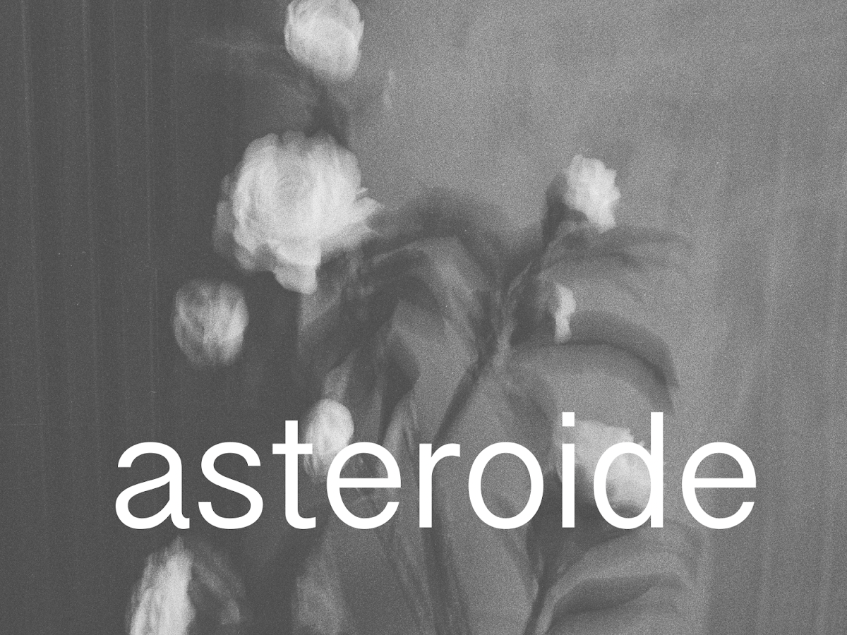 Logo Asteroide | Estúdio Fotográfico