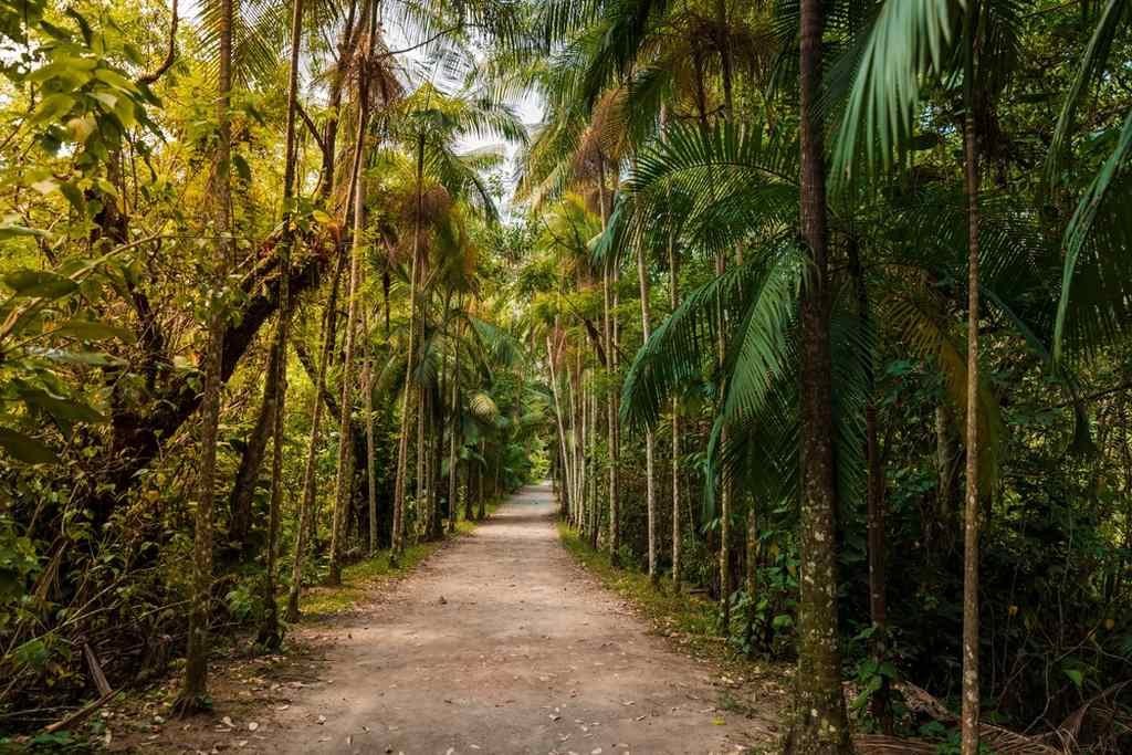 Córrego Grande, bairro de Florianópolis — foto 3
