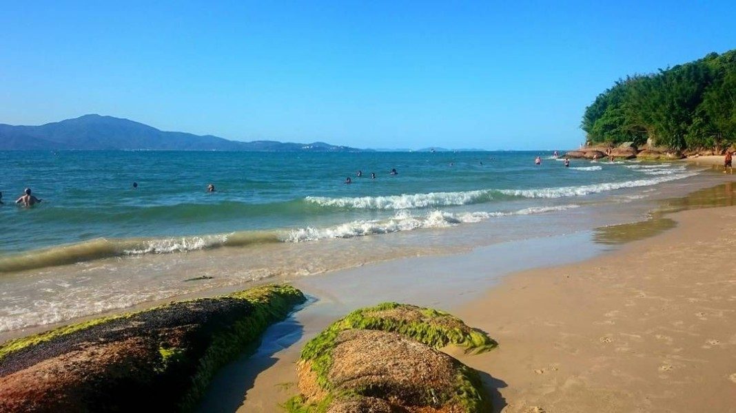 Daniela, bairro de Florianópolis — foto 3