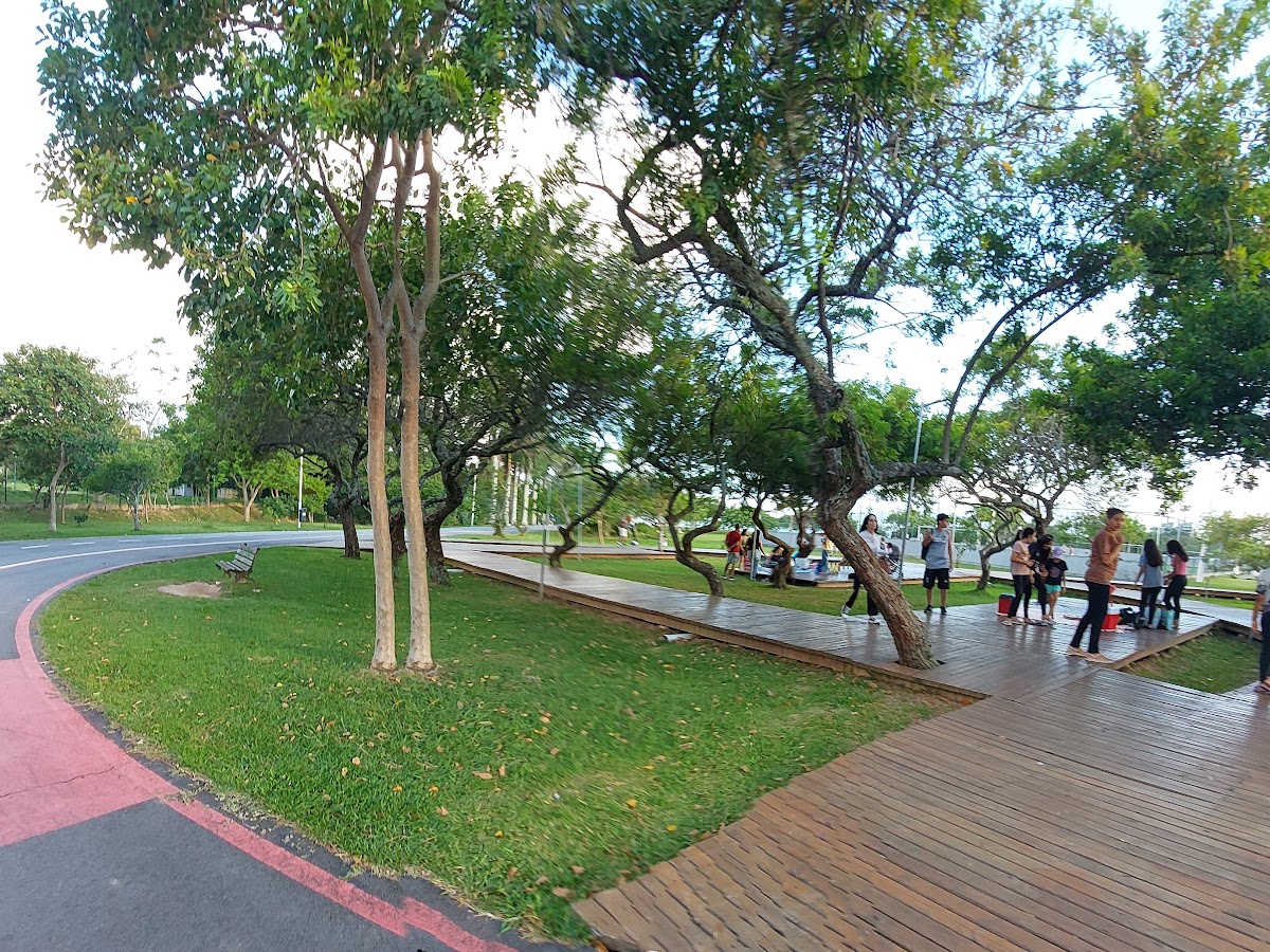 Balanço do Parque de Coqueiros em Florianópolis — foto 2