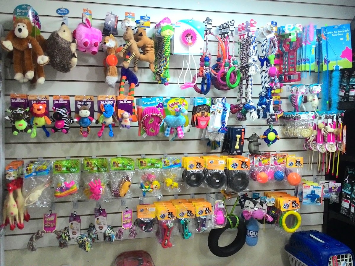 Bicho da Casa Pet Shop em Florianópolis — foto 3