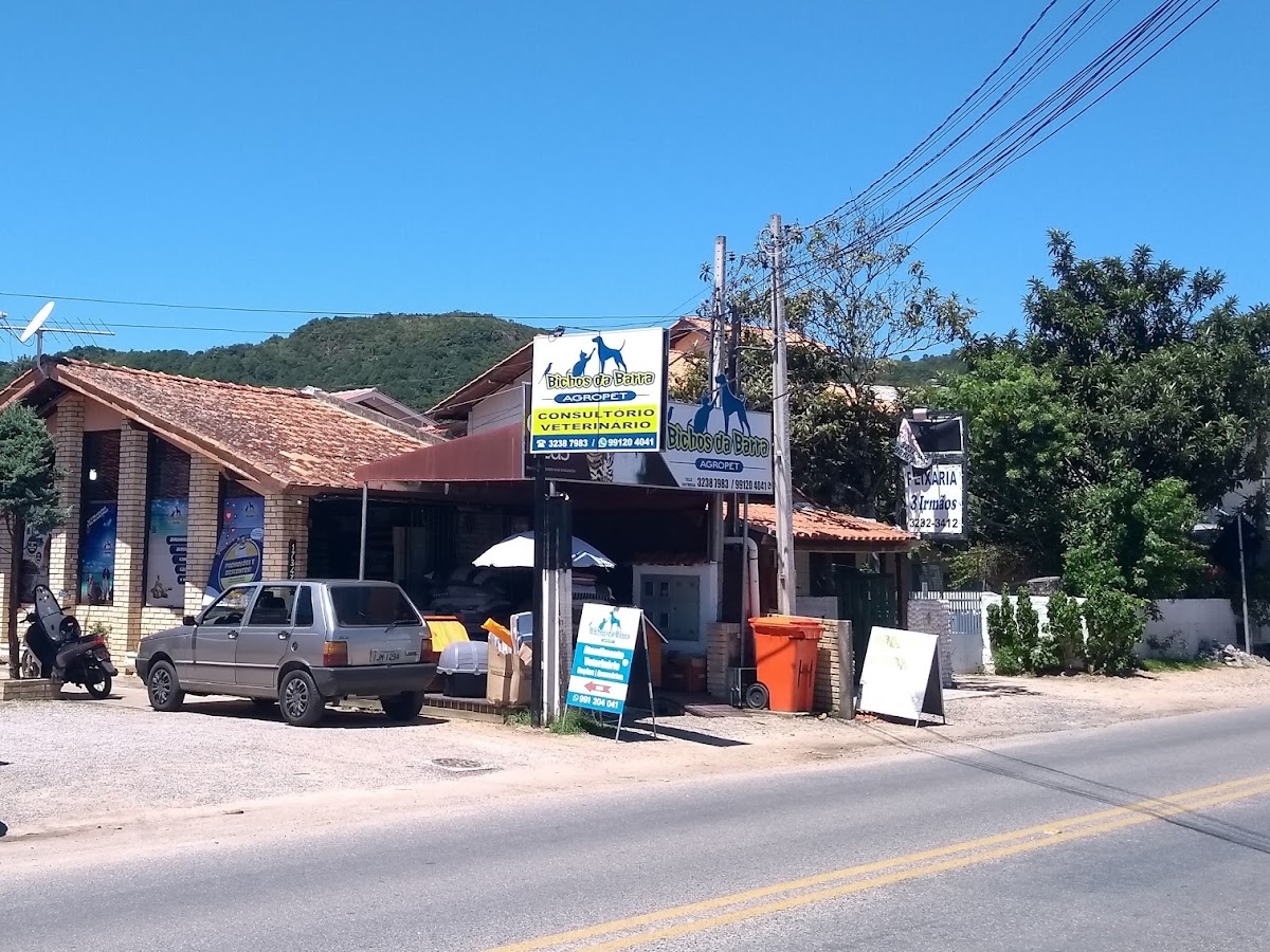 Bichos Da Barra Agropet em Florianópolis — foto 1