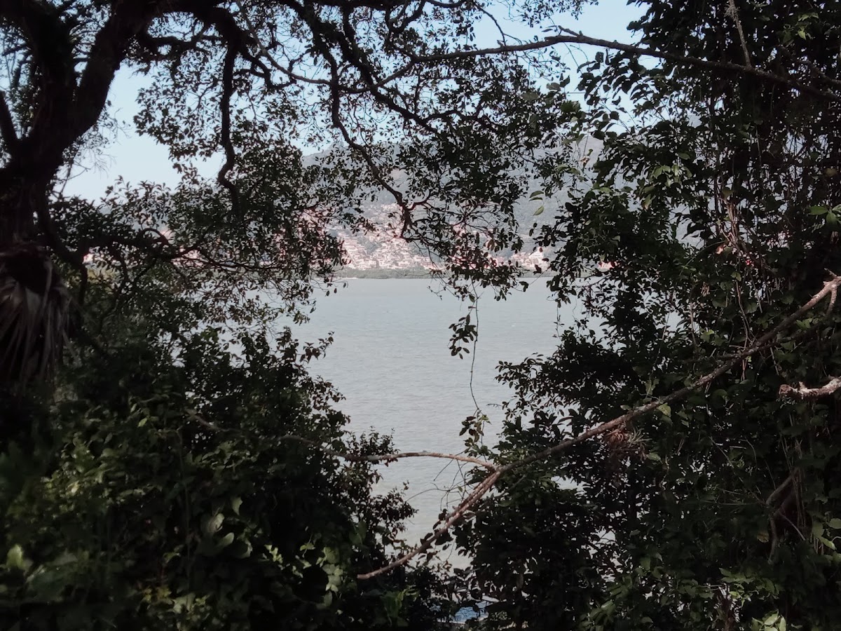 Bico da Ponte em Florianópolis — foto 3