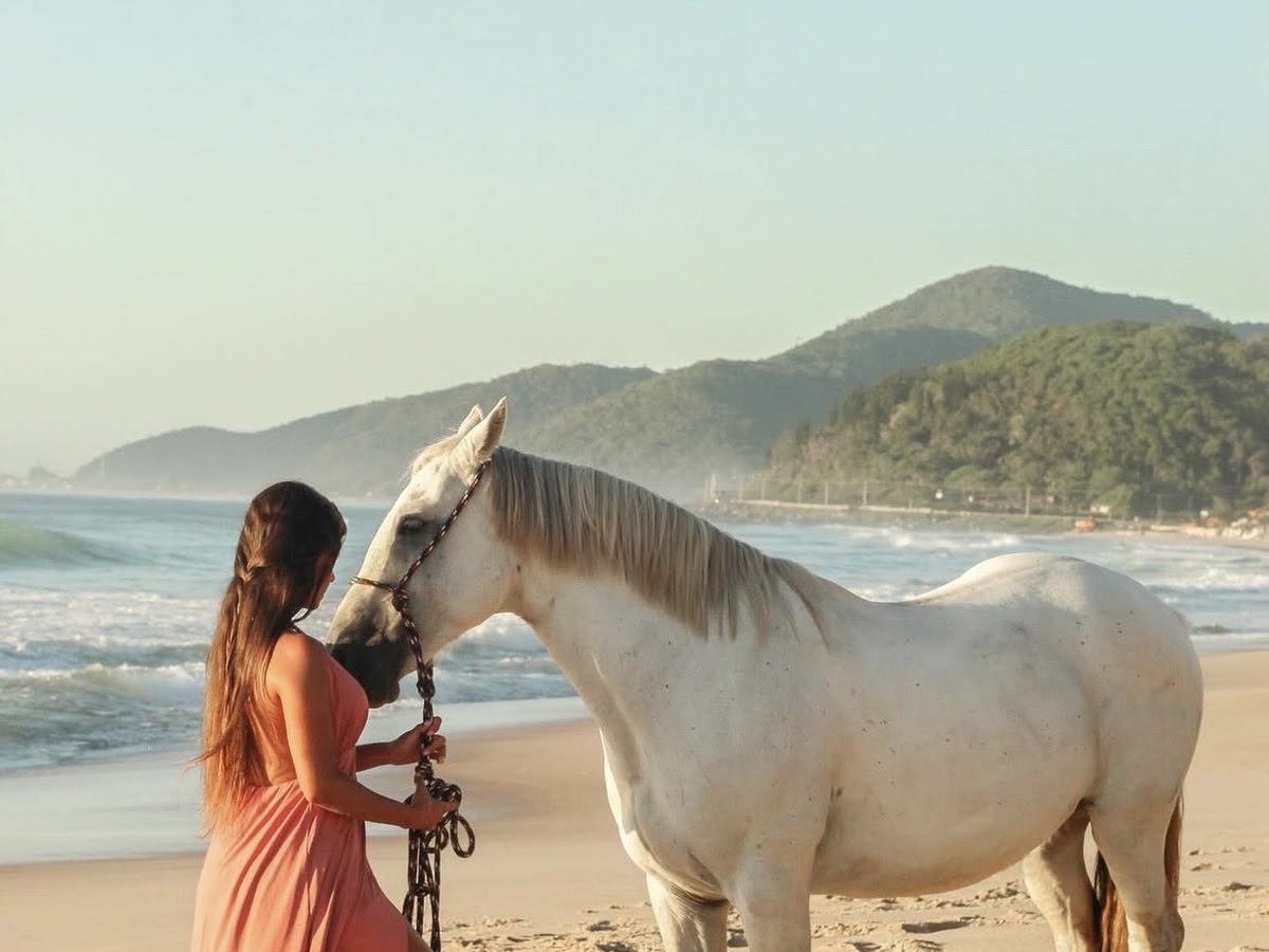 Foto da Bilo Fotografia Profissional - Campeche