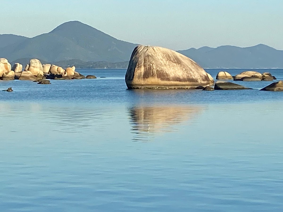 Bom Abrigo em Florianópolis — foto 2