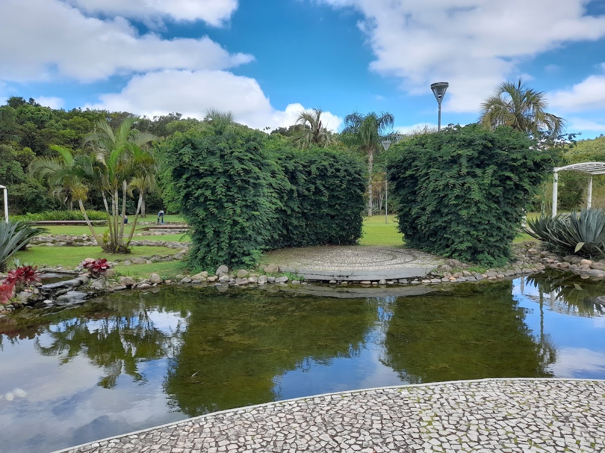 Bosque Amoraeville em Florianópolis — foto 1