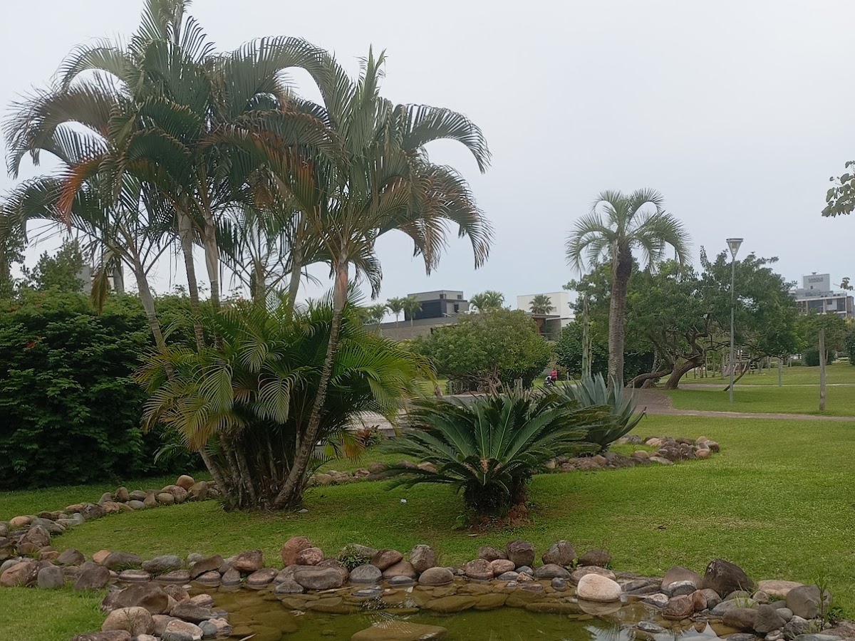 Bosque Amoraeville em Florianópolis — foto 3