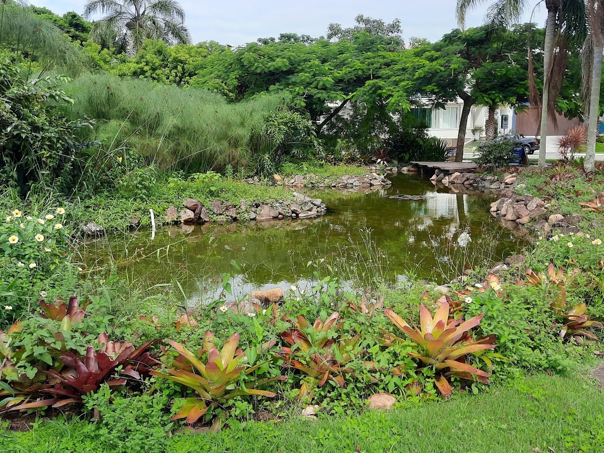Bosque Amoraeville em Florianópolis — foto 4