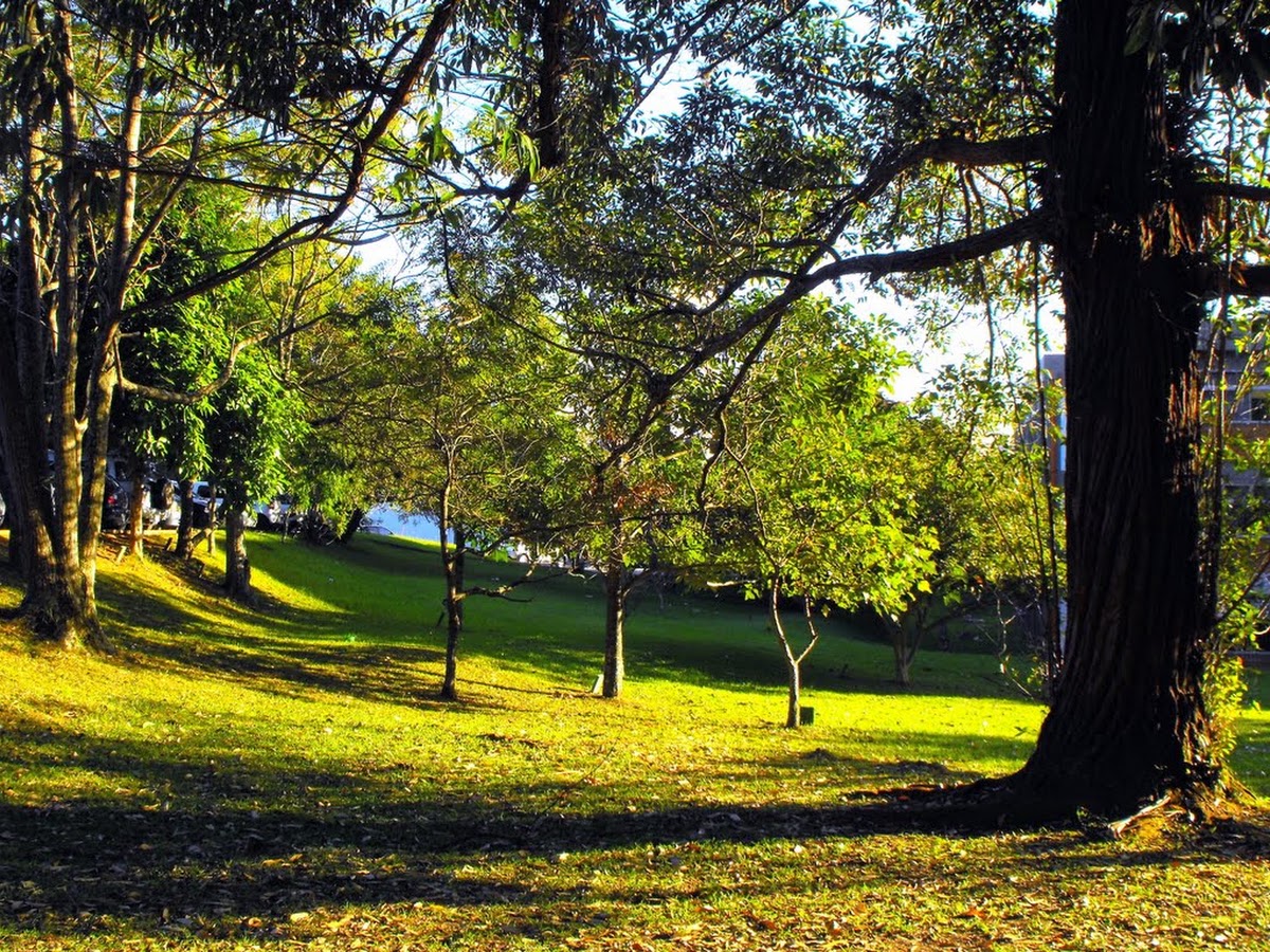 Logo Bosque da UFSC
