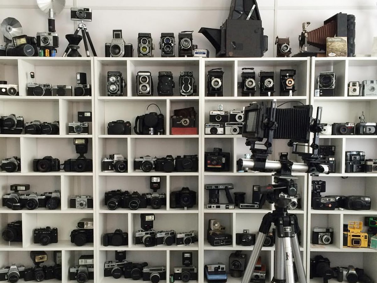 Brandão Fotografias em Florianópolis — foto 4