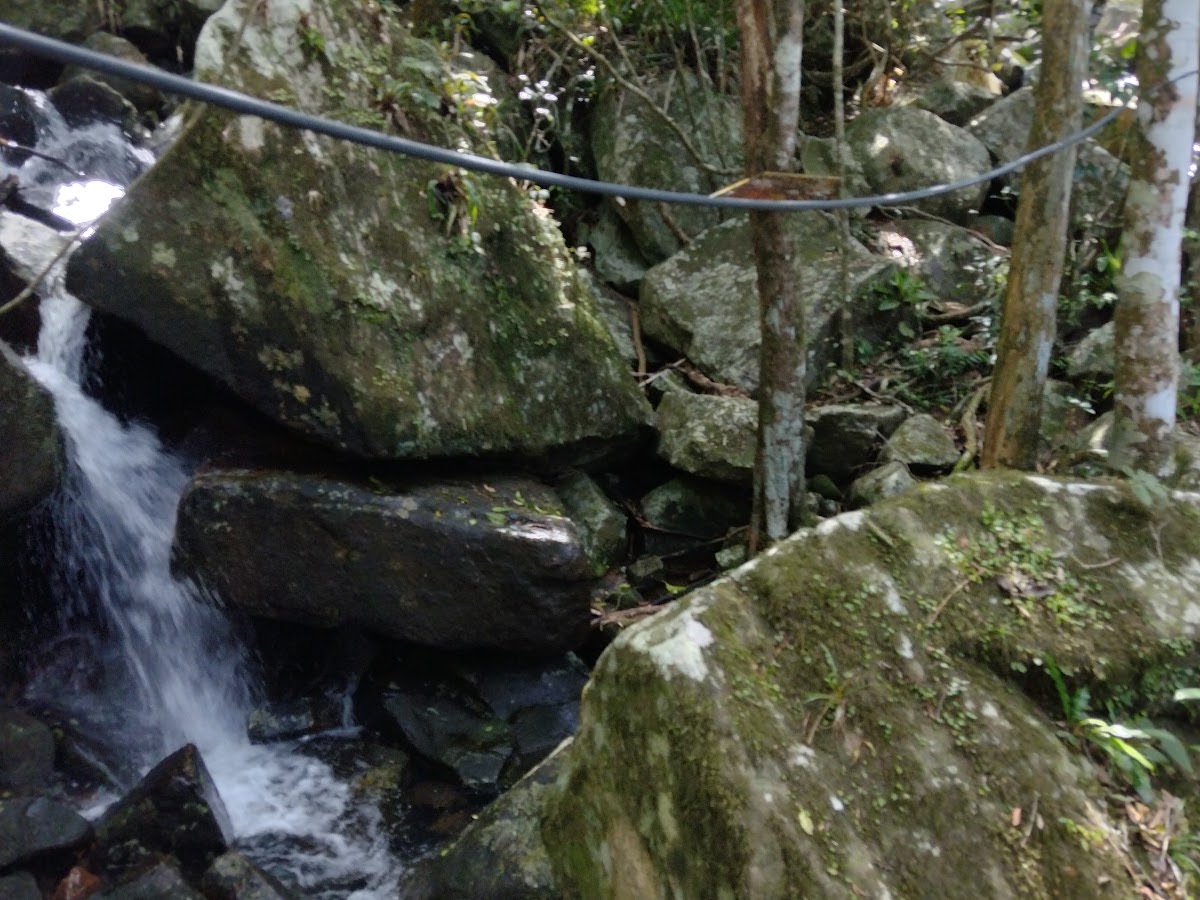 Cachoeira da Solidão em Florianópolis — foto 3