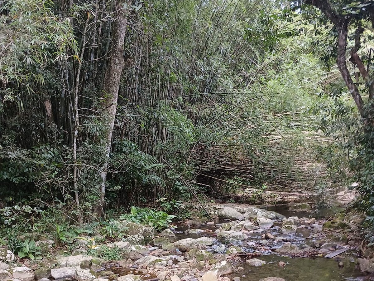 Cachoeira do Poção em Florianópolis — foto 2