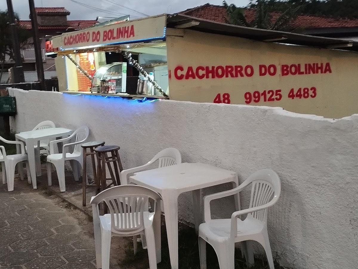 Foto da Cachorro do Bolinha
