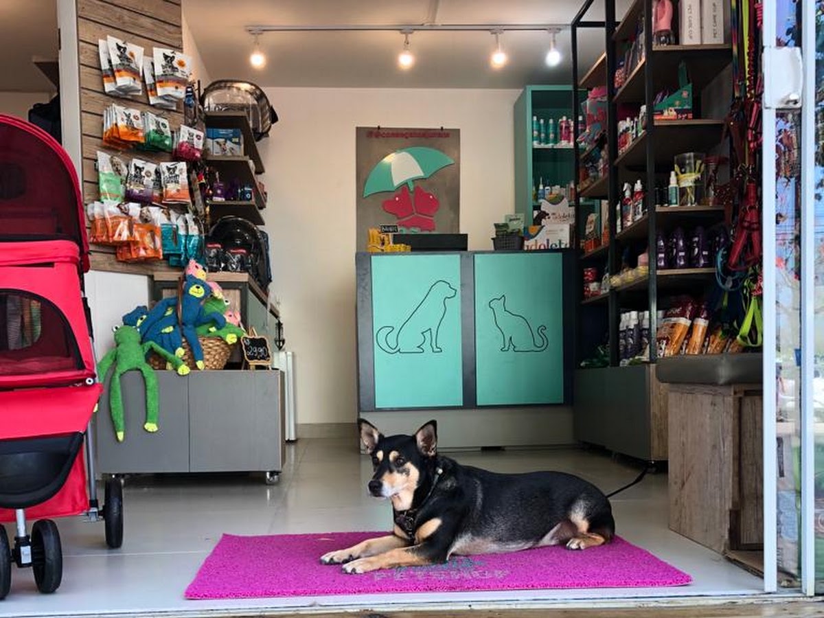 Caes e Gatos Petshop em Florianópolis — foto 3