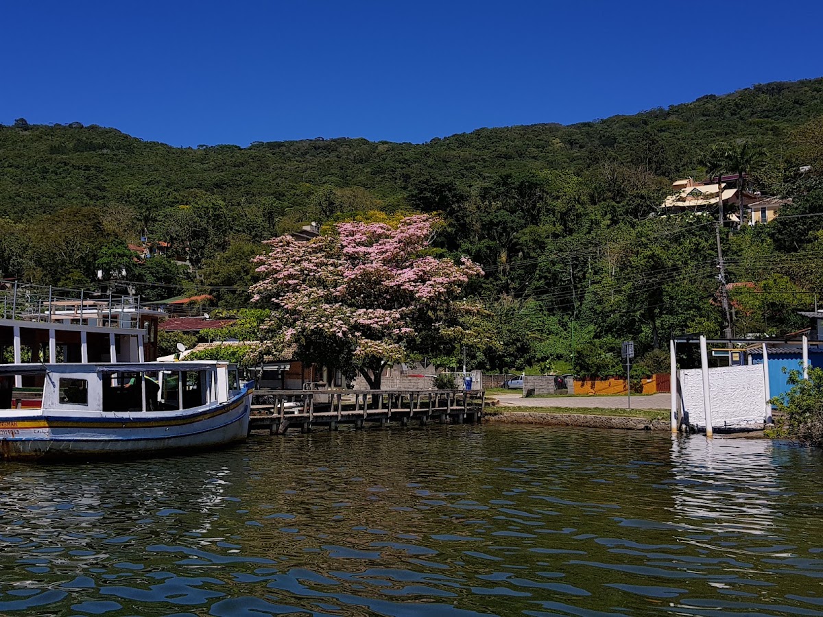 Foto da Caminho da Costa da Lagoa ao Canto dos Araçás