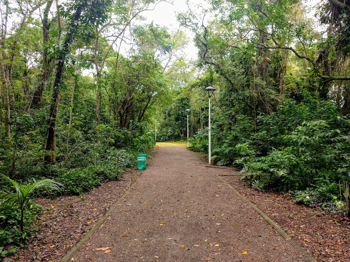 Caminho Parque Linear Córrego Grande em Florianópolis — foto 1