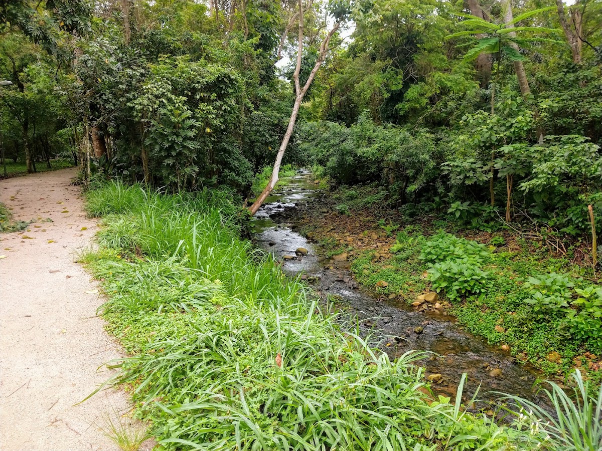 Caminho Parque Linear Córrego Grande em Florianópolis — foto 2