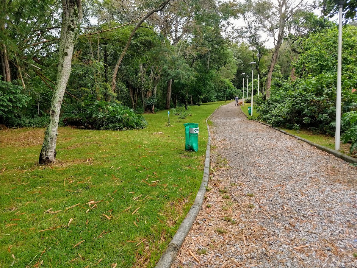 Caminho Parque Linear Córrego Grande em Florianópolis — foto 4