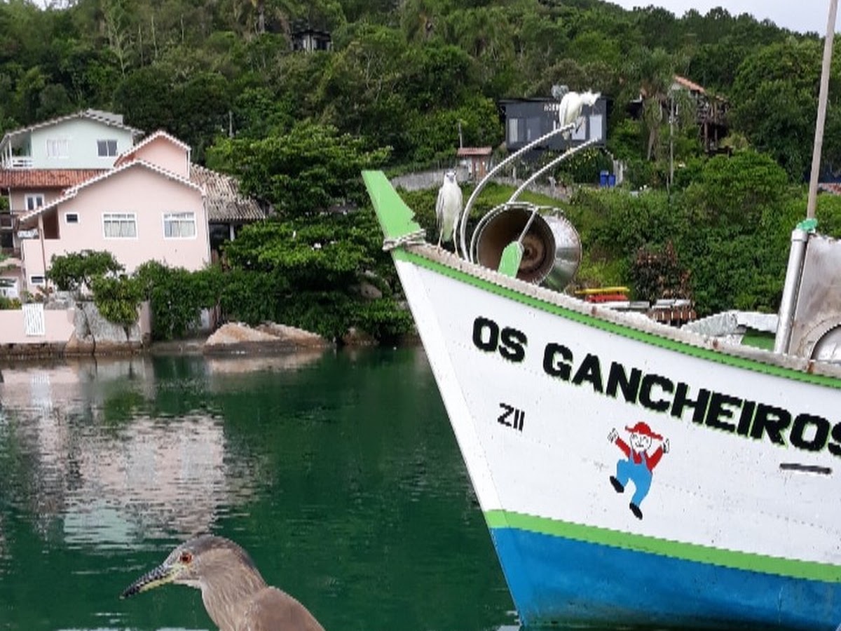 Canal Vendas e Alugueis de Equipamentos Náuticos. em Florianópolis — foto 2