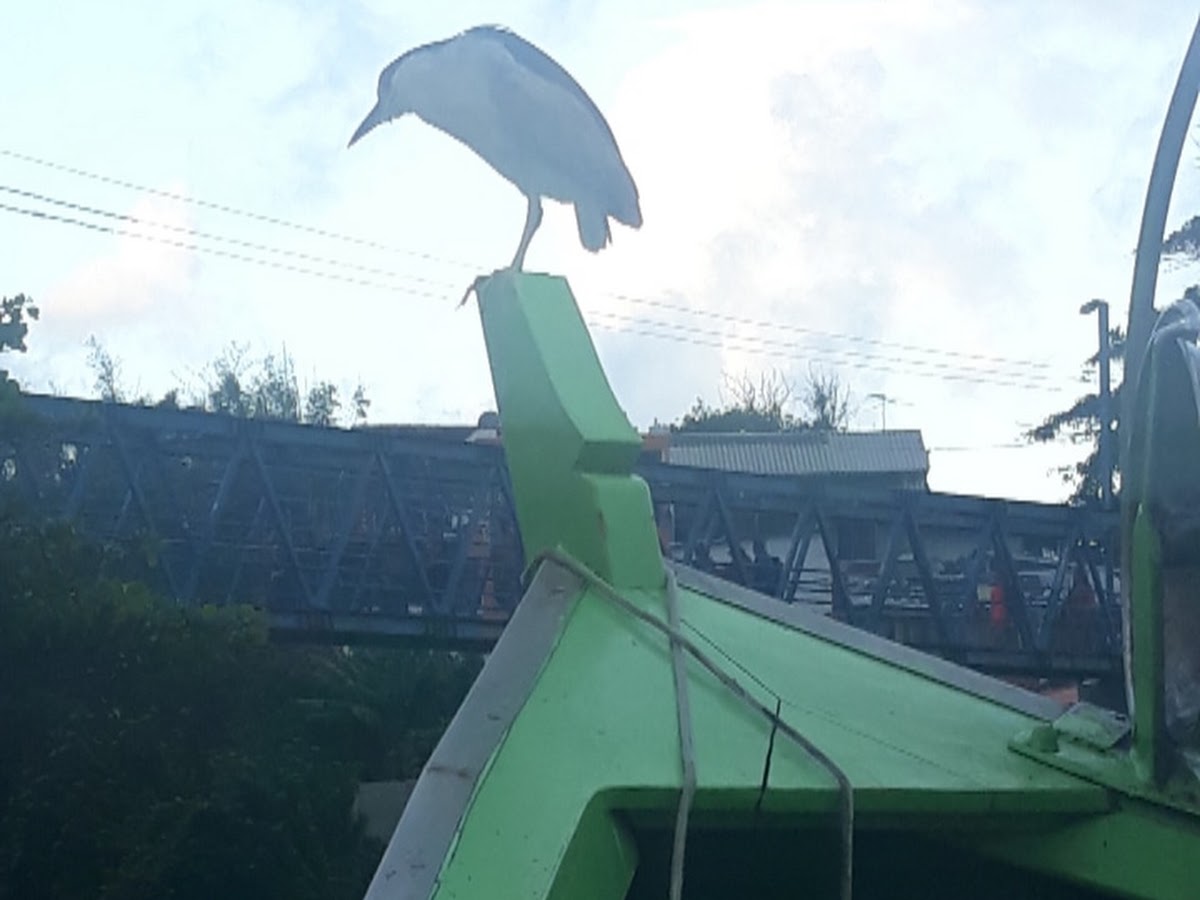 Canal Vendas e Alugueis de Equipamentos Náuticos. em Florianópolis — foto 4