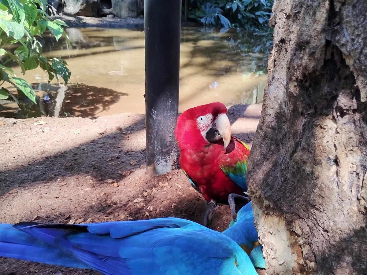 Carlos e Cris Excursões em Florianópolis — foto 2