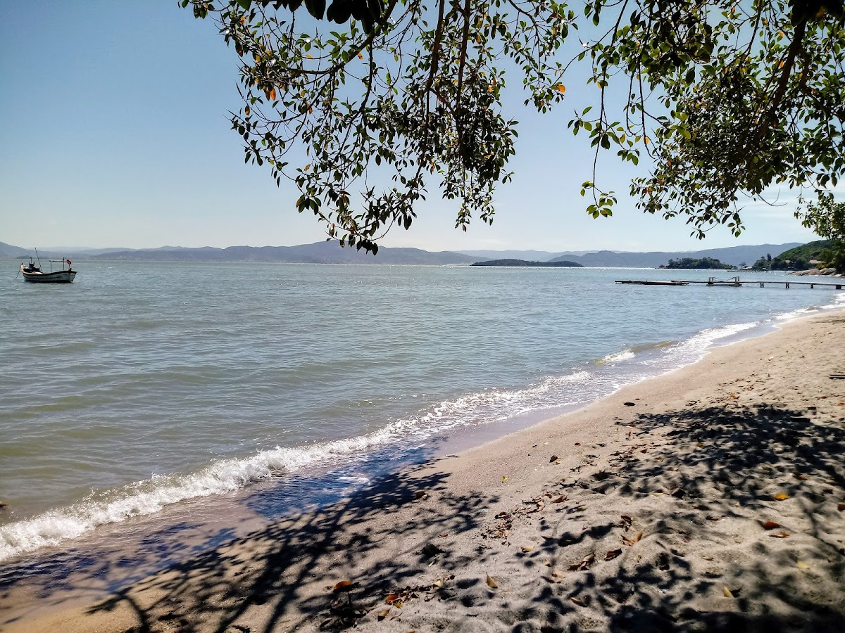 Casa Amarela em Florianópolis — foto 3