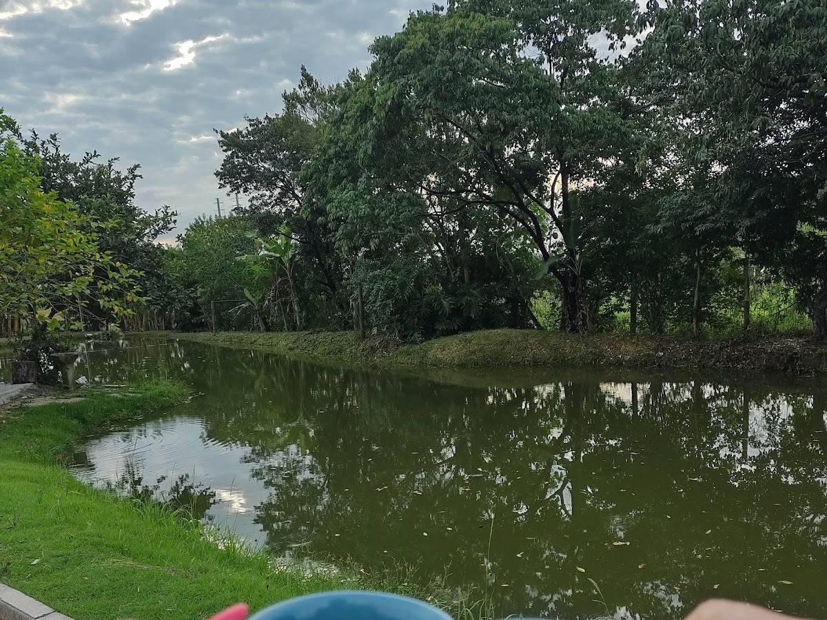 Casa do lago Floripa em Florianópolis — foto 4