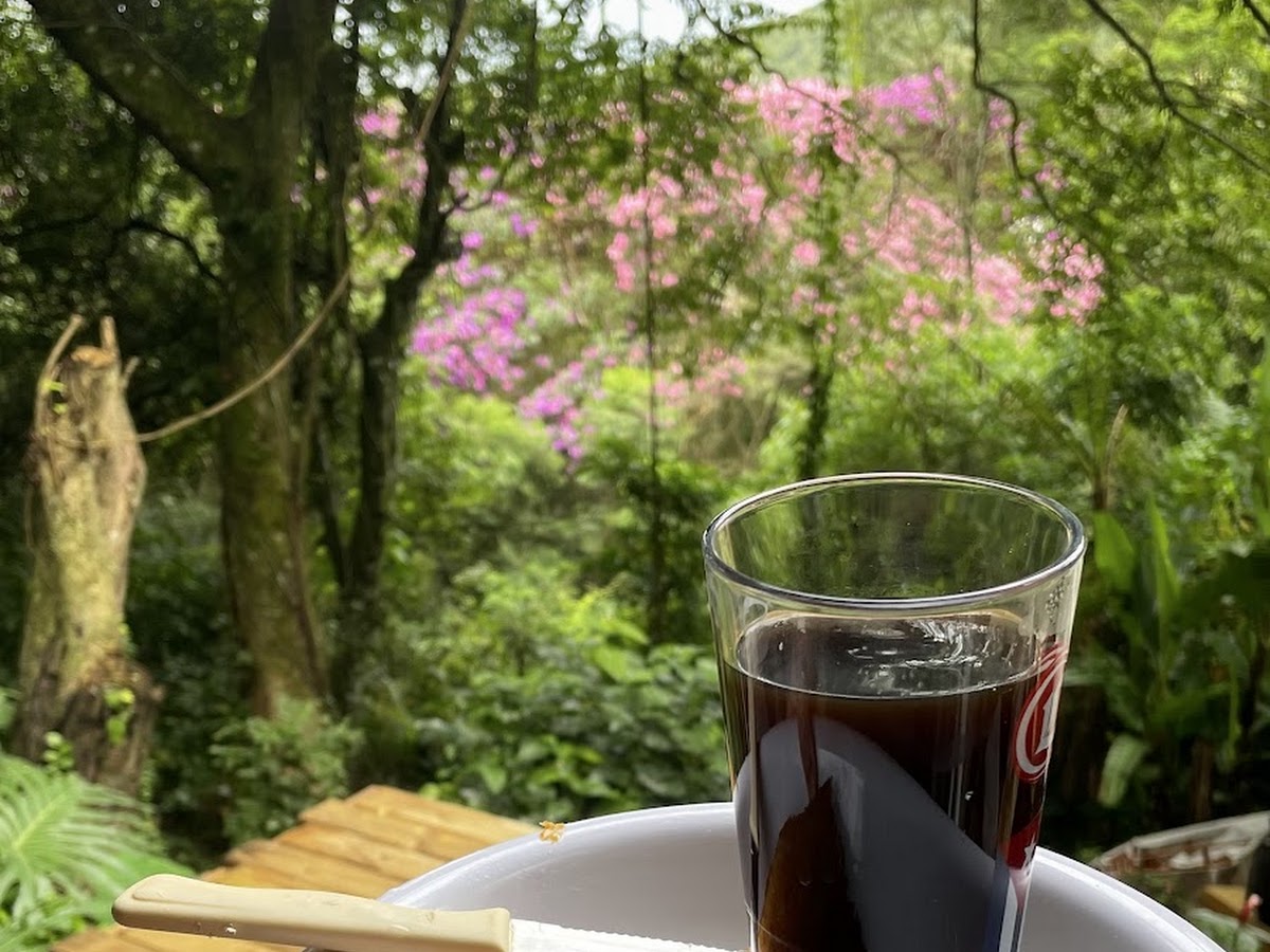 Casa do macaquinho em Florianópolis — foto 2