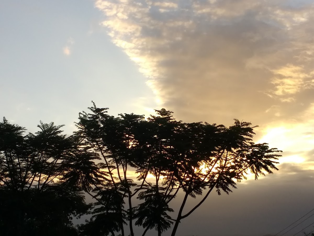Foto da Centro Espirita Juvêncio Araújo Figueiredo