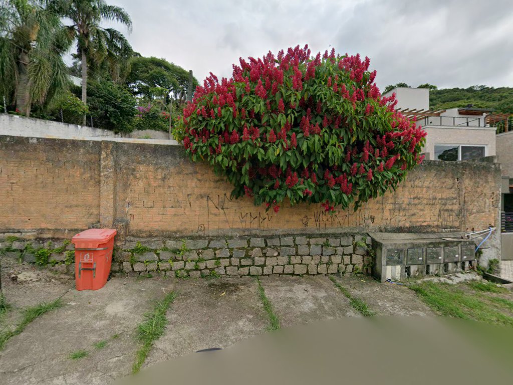 Foto da cezar couto fotografias