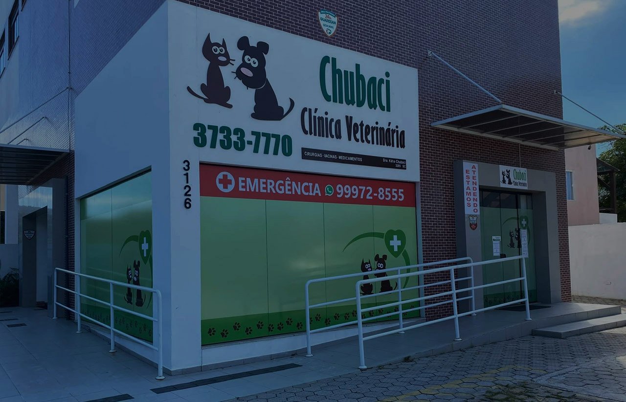 Chubaci Clínica Veterinária de Cirurgias, Castração e Vacinação em Florianópolis em Florianópolis — foto 2