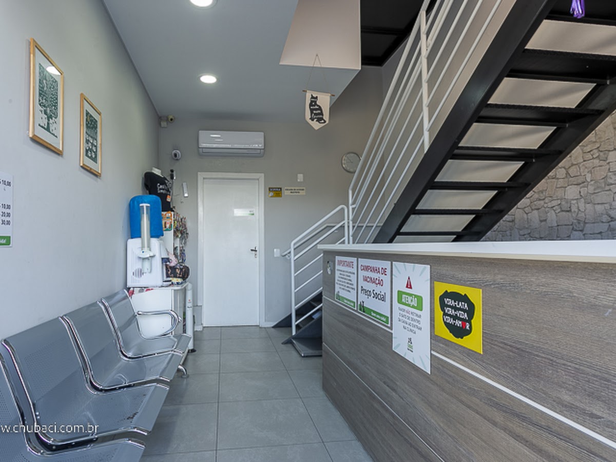Chubaci Clínica Veterinária de Cirurgias, Castração e Vacinação em Florianópolis em Florianópolis — foto 3