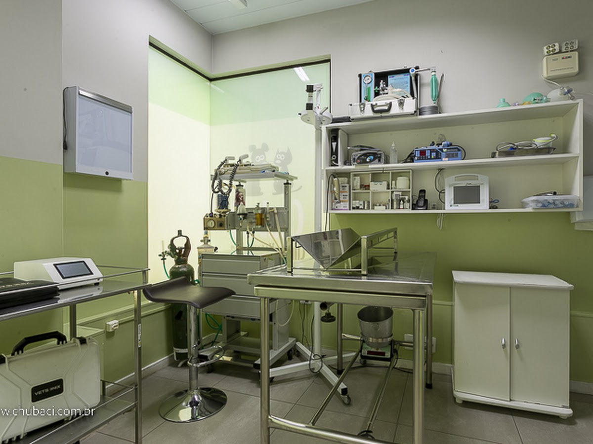 Chubaci Clínica Veterinária de Cirurgias, Castração e Vacinação em Florianópolis em Florianópolis — foto 4