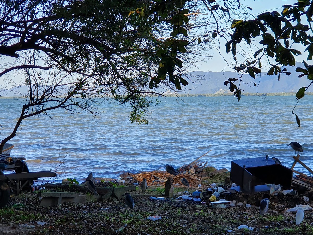 Ciclovia do Dudu Seeger em Florianópolis — foto 3