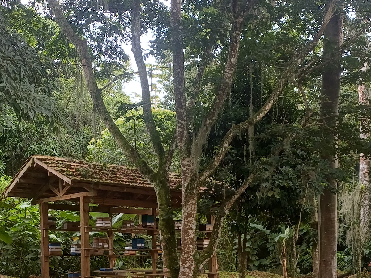 Foto da Cidade das Abelhas - UFSC
