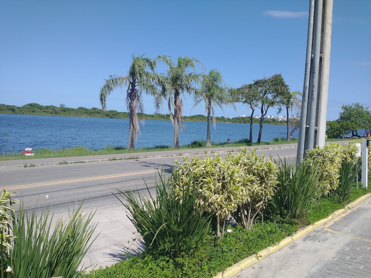 Clínica HUMMA em Florianópolis — foto 3