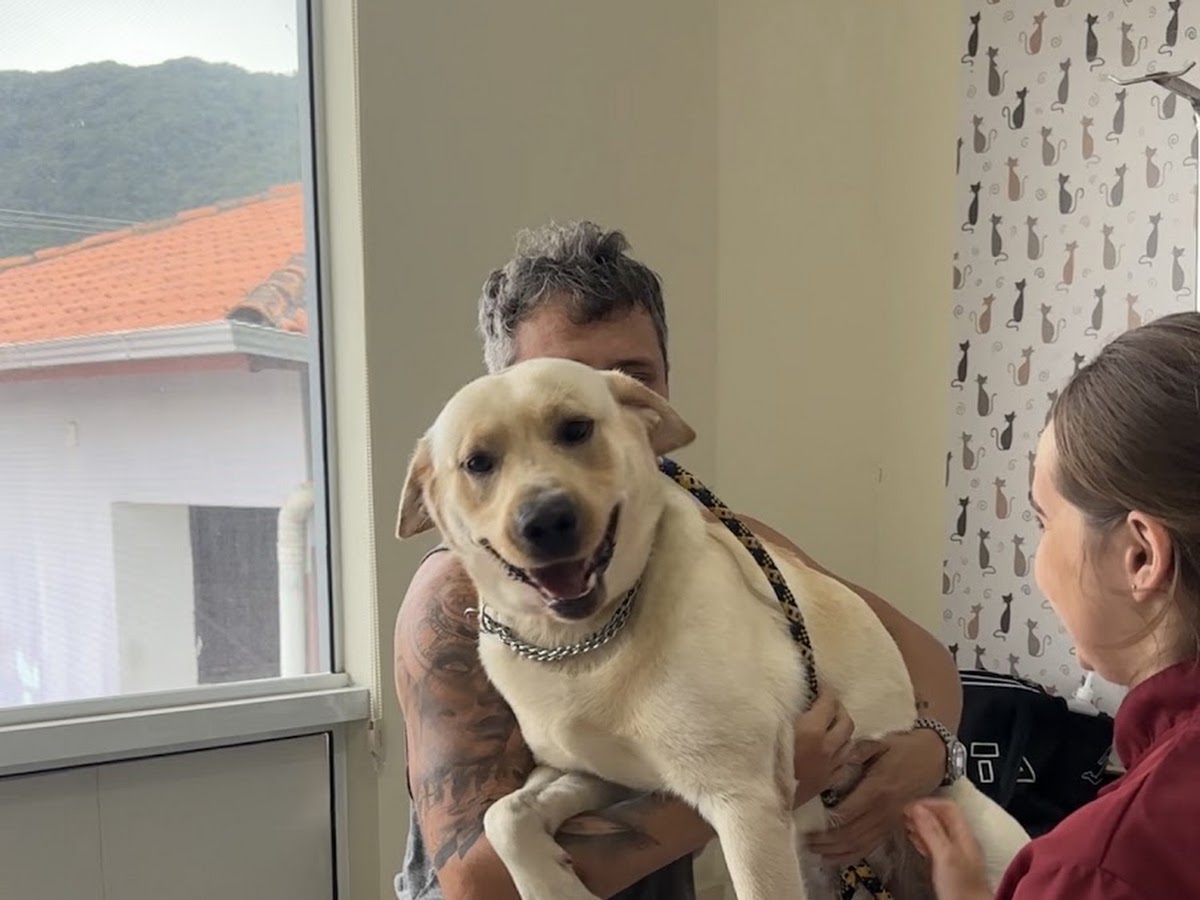 Clínica Veterinária Red Vet 24h| Vacinas | Cirurgias | Emergências | Consultas e Exames | Rio Vermelho - Florianópolis em Florianópolis — foto 1