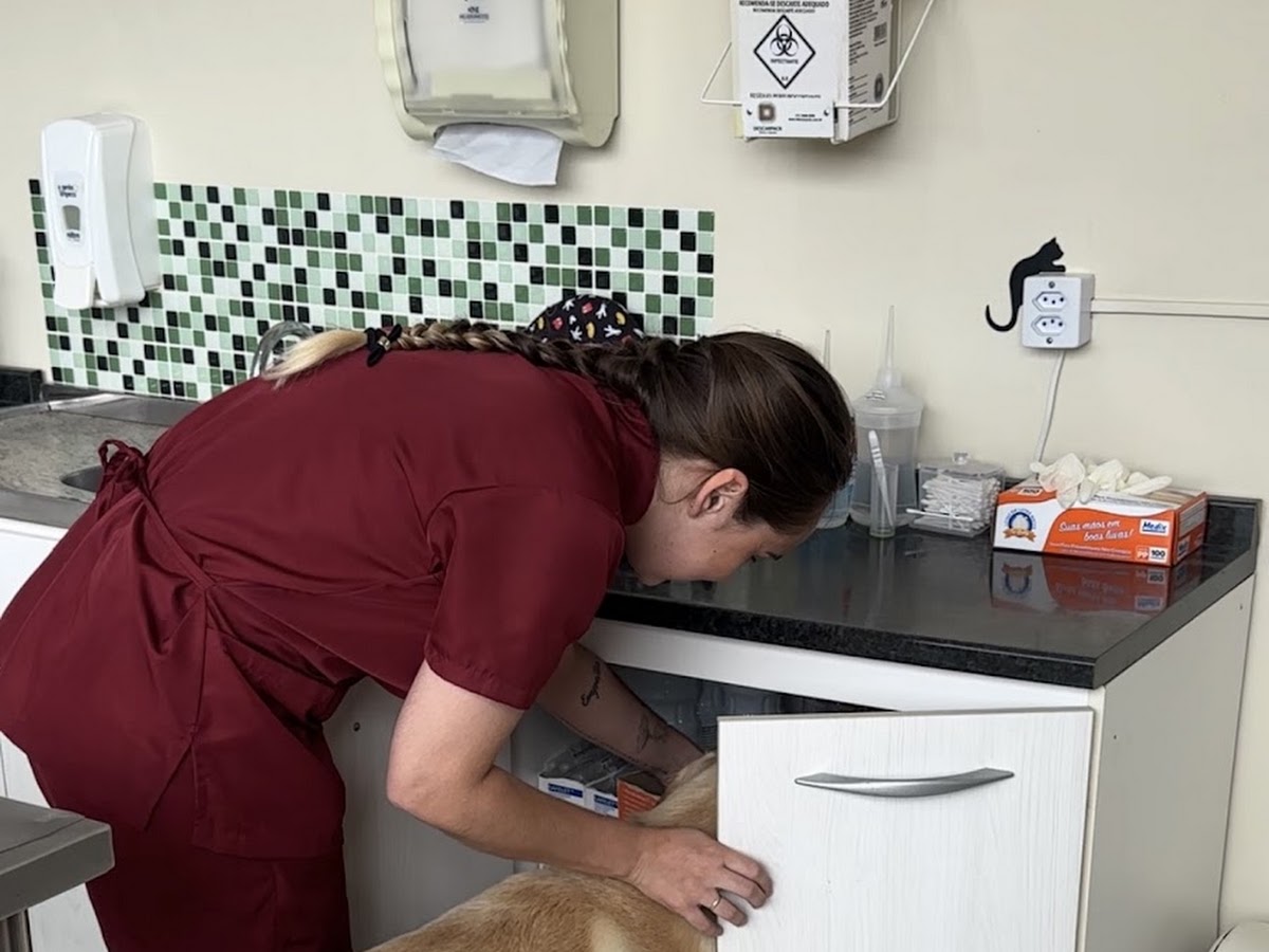 Clínica Veterinária Red Vet 24h| Vacinas | Cirurgias | Emergências | Consultas e Exames | Rio Vermelho - Florianópolis em Florianópolis — foto 3