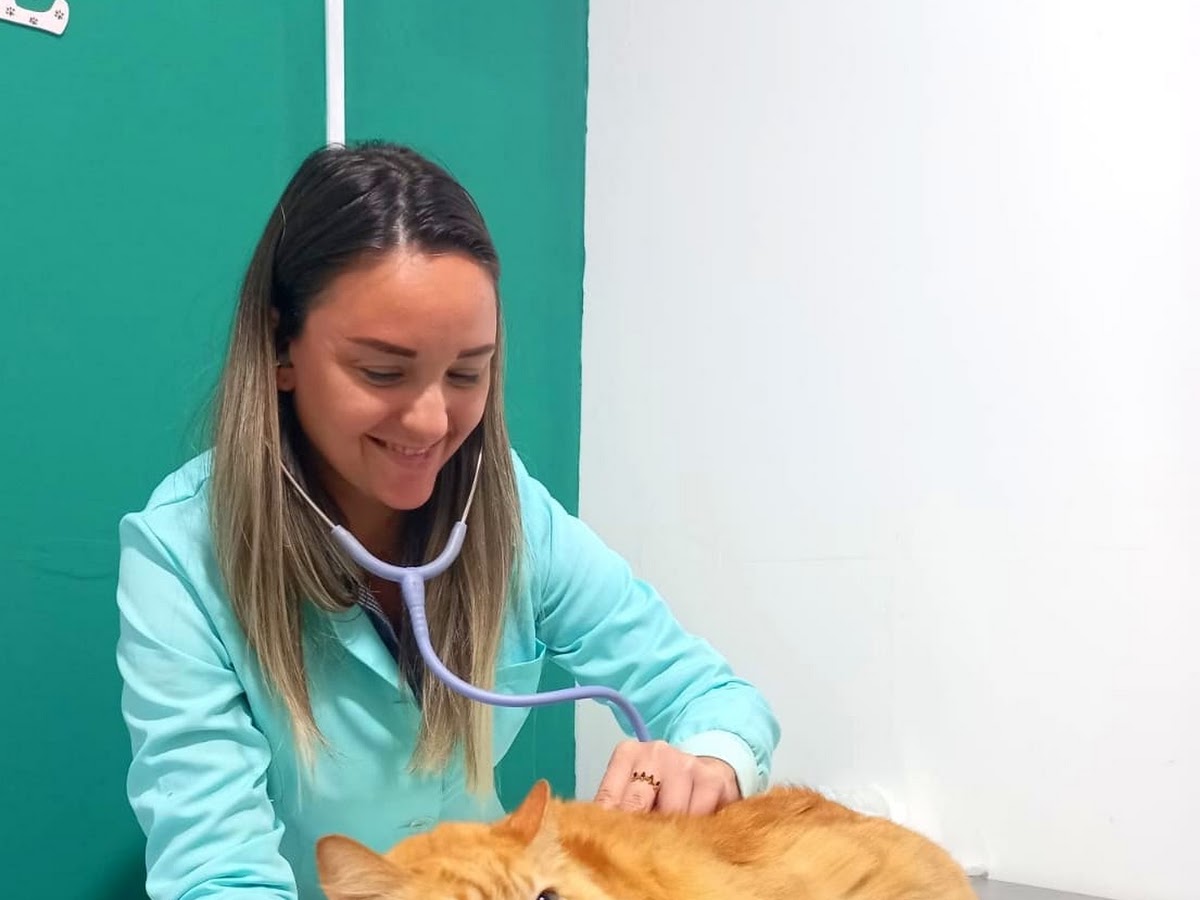 Clínica veterinária Rio Vermelho em Florianópolis — foto 1