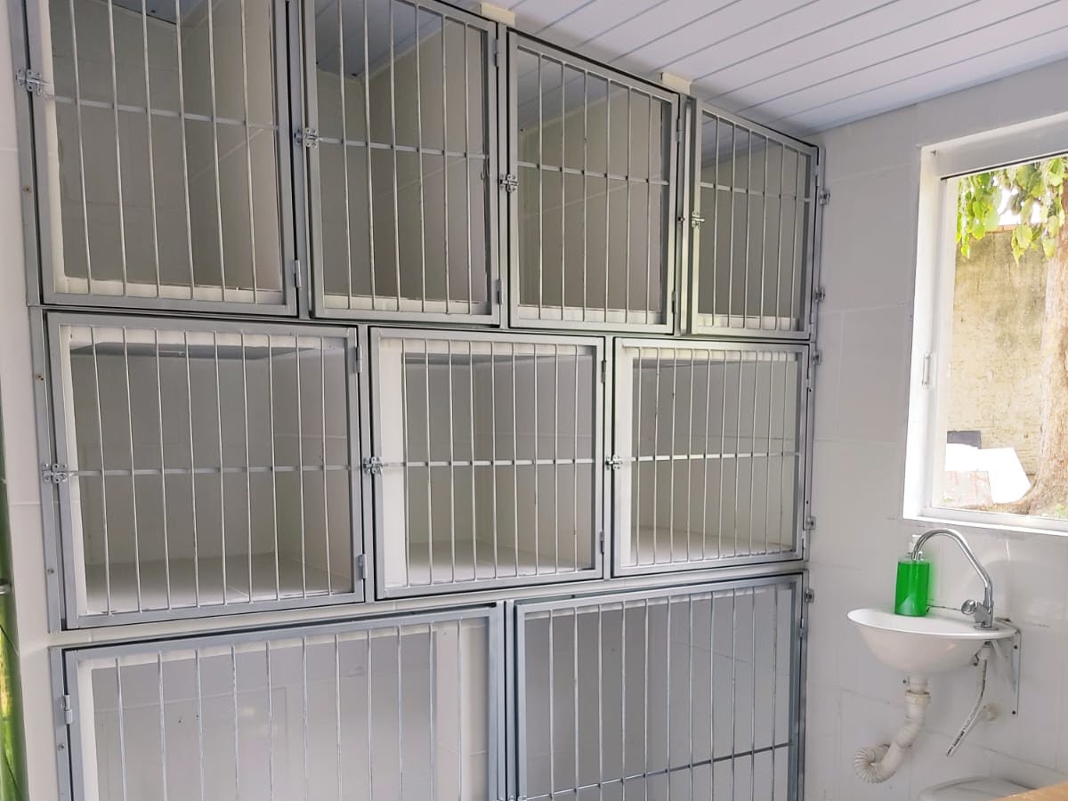 Clínica veterinária Rio Vermelho em Florianópolis — foto 2
